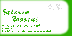 valeria novotni business card